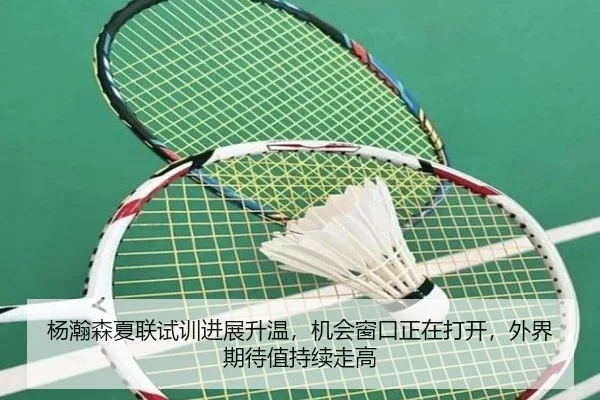 杨瀚森夏联试训进展升温，机会窗口正在打开，外界期待值持续走高 | HTH
